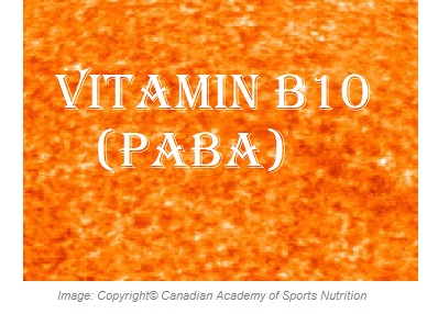 Vitamin B10 1 Canadian Academy of Sports Nutrition