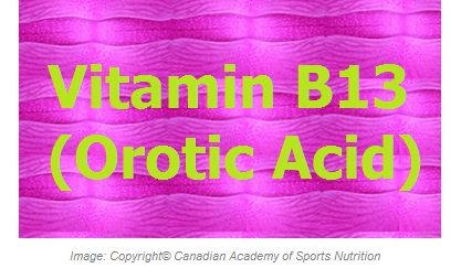 Vitamin B13 1 Canadian Academy of Sports Nutrition