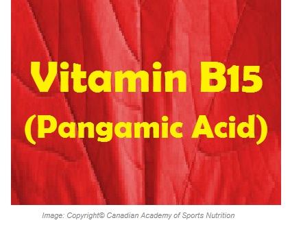 Vitamin B15 1 Canadian Academy of Sports Nutrition