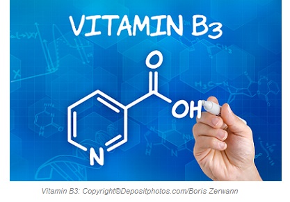 Vitamin B3 1 Canadian Academy of Sports Nutrition