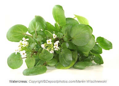 Watercress. Canadian Academy of Sports Nutrition