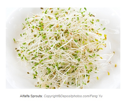 alfalfa sprouts. Canadian academy of sports nutrition