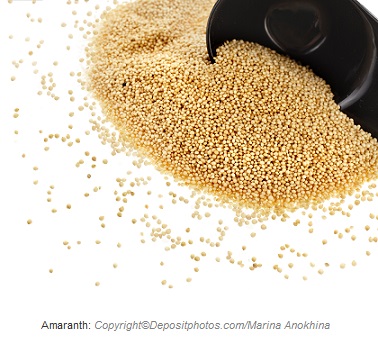 amaranth. Canadian academy of sports nutrition