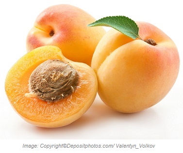 apricot1 caasn