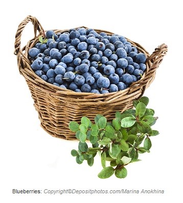 blueberries caasn