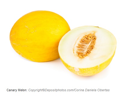 canary melon caasn