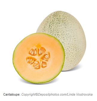 cantaloupe caasn