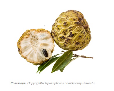 cherimoya caasn