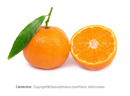 clementine caasn