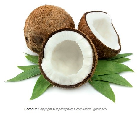 coconut caasn