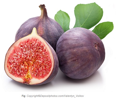 fig caasn