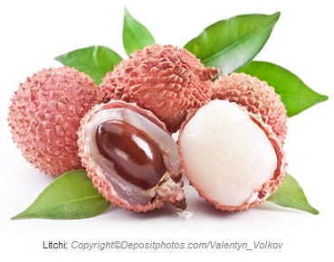 litchi caasn