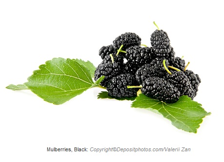 mulberries black caasn