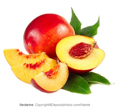 nectarine caasn