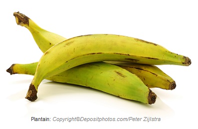 plantain caasn