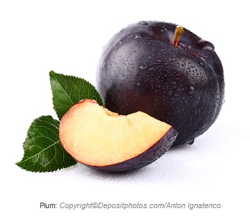 plum caasn