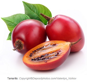 tamarillo caasn