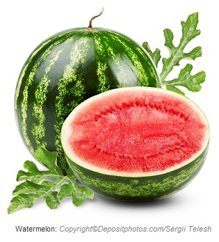 watermelon caasn
