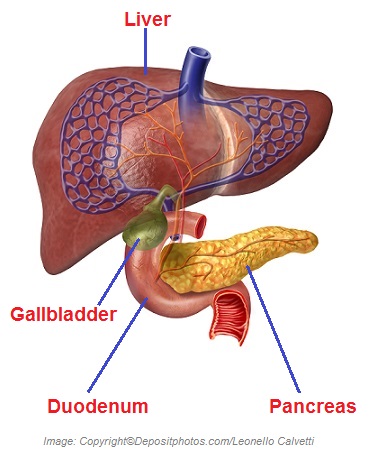 Gallbladder problems 1 Canadian Academy of Sports Nutrition caasn